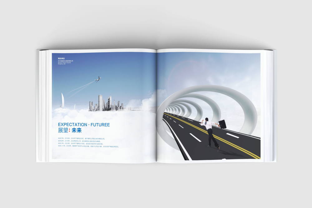 惠农区画册设计